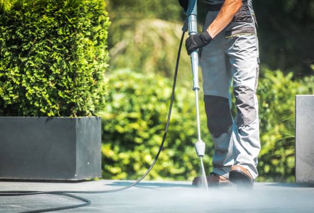 Best Dumpster Area Cleaning  in Llender, CA